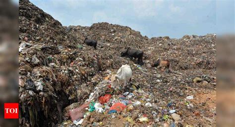 National Green Tribunal: Carry out lab test of groundwater in Bandhwari ...