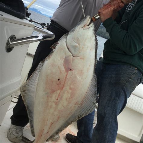 KETCHIKAN FISH ON DAY CHARTERS - All You Need to Know BEFORE You Go ...