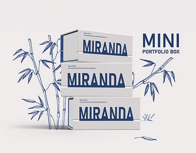 Mini Box 的图像结果