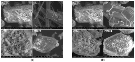 Novel Chloro-Substituted Salicylanilide Derivatives and Their β ...