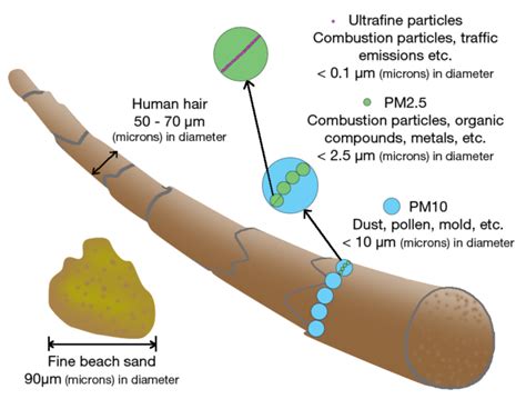 Top 10 Sources of Indoor Air Pollution & How uBreathe Combats Them