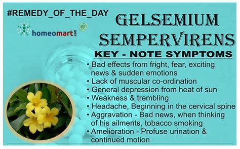 gelsemium homeopathic medicine