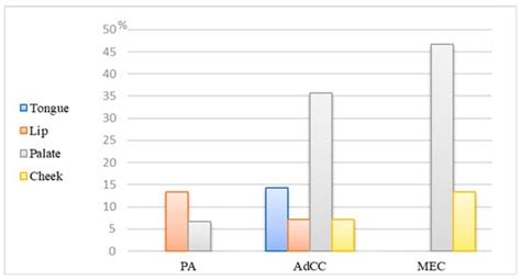 CD3 and CD20 Expressions and Infiltrating Patterns in Salivary Gland Tumors