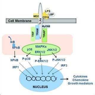 LPS Algorithm 的图像结果