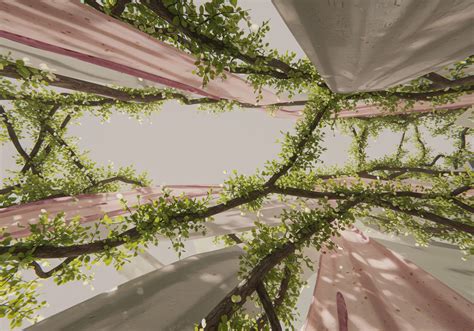 Nutritional Geography → Term