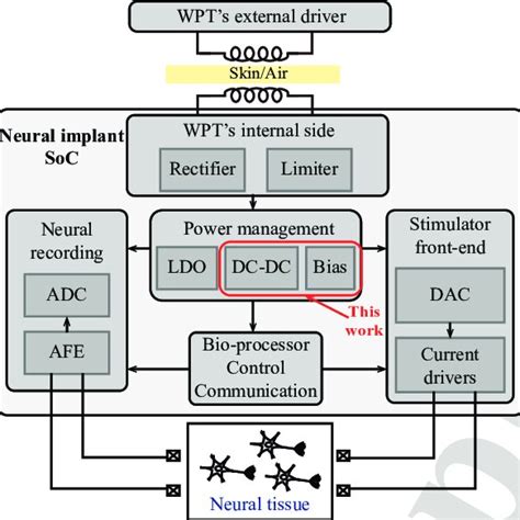 Neural Interface 的图像结果