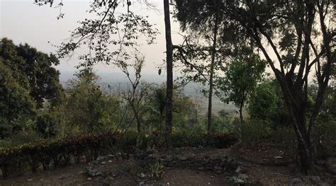 THE RESERVE FAGU (Gorubathan) - Apartment Reviews & Photos - Tripadvisor