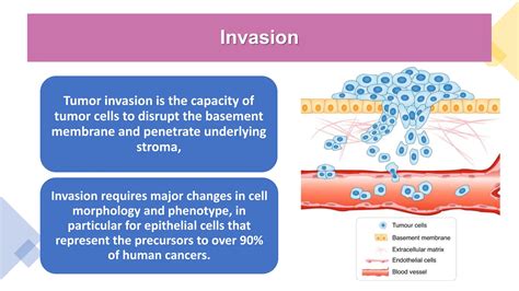 Image result for Tutorial of Neoplasm Table
