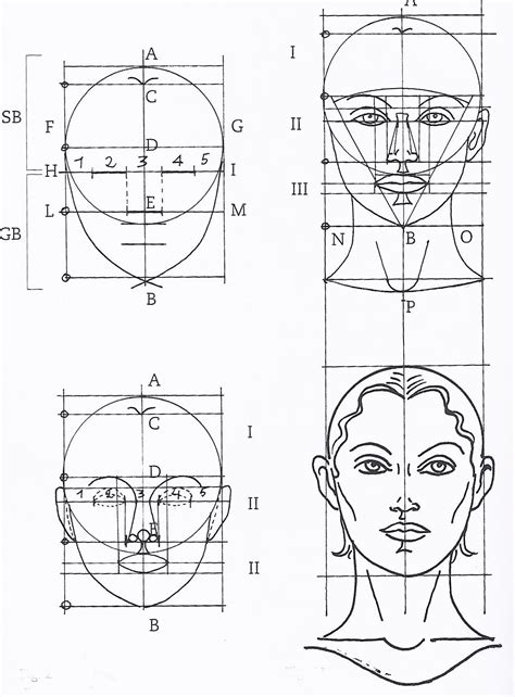 Female Golden Ratio Face Template – TSDG