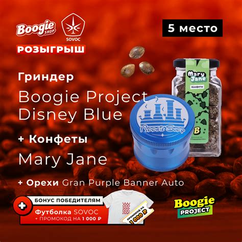 ОБЗОР ПРИЗОВ МЕГА-РОЗЫГРЫША SOVOC И BOOGIE SHOP🧐 — Teletype