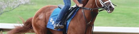 Blackadder | BRISnet.com Trusted Data & More