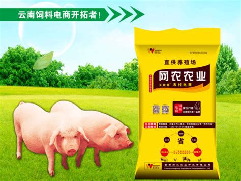 猪饲料厂家养猪知识：五种情况不要阉猪_黑龙江省盛达饲料有限公司