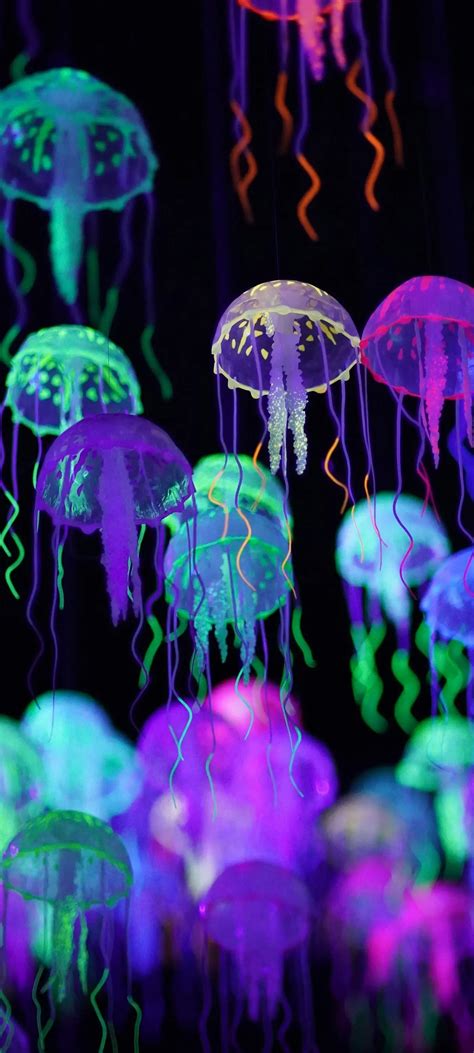 Neon Glowing Jellyfish Swarm HD Underwater Deep Ocean Translucent 4K ...