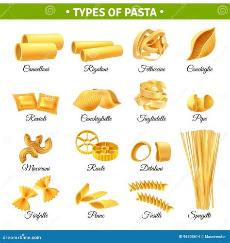 Pasta Types Infographics Vector Illustration | CartoonDealer.com #96503614