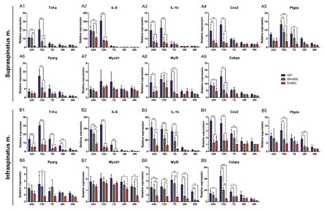 Immunomodulation of Pluripotent Stem Cell-Derived Mesenchymal Stem ...