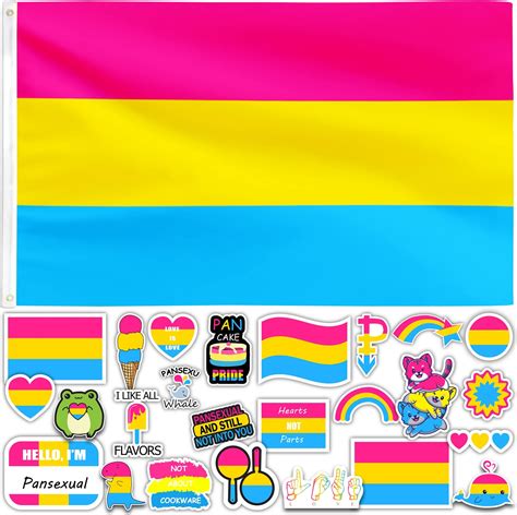 Amazon.com : Trade Winds 2x3 Pansexual Rainbow Pride Flag 2x3ft with ...