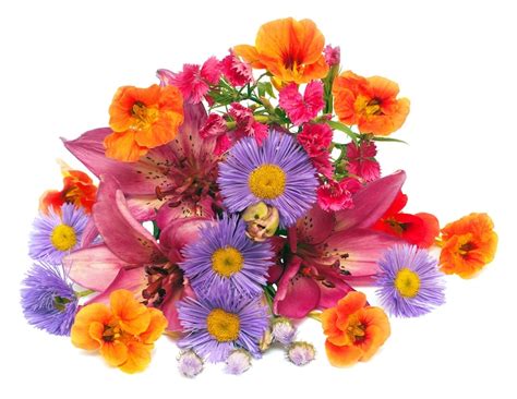 Bouquet de fleurs de lys, de capucines, de lys et d'œillets isolés sur ...