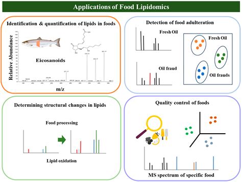 A Critical Overview of HPLC-MS-Based Lipidomics in Determining ...