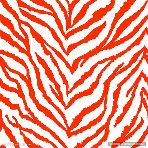 斑纹角马 的图像结果