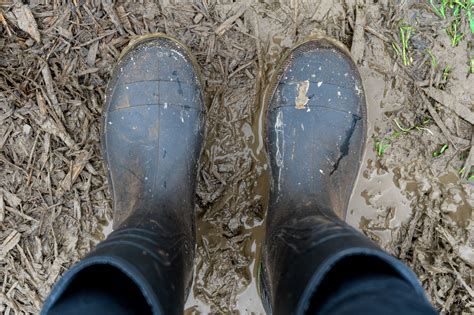 Rain boots vs. muck boots: What's the difference between the two?
