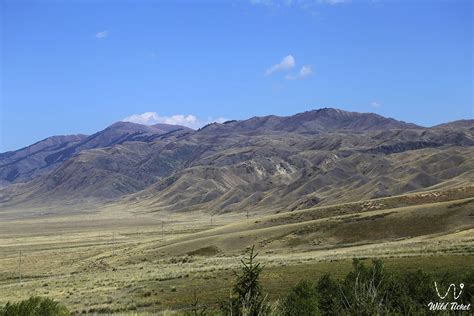 Central Asia 的图像结果