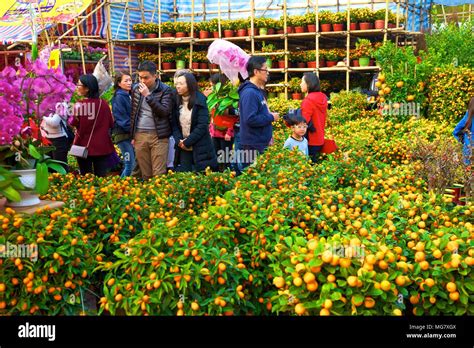 Visit the Flower Market in New Year 的图像结果