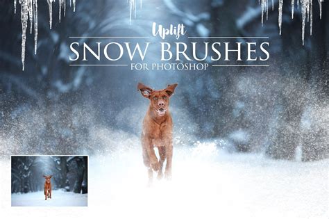 Winter Bundle for Photoshop, an Action Add-On by Uplift Actions | Free ...