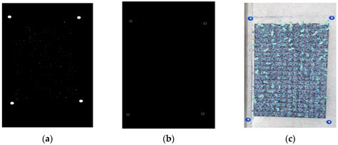 Automating Seedling Counts in Horticulture Using Computer Vision and AI