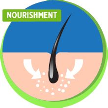 Buy Joy Hair Fruits Hair Dryness Control Conditioning Shampoo Enriched ...