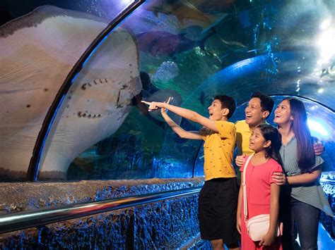 "Panduan Praktis Menyiasati Harga Tiket Wisata Mahal: Bagaimana Berlibur Hemat Tapi Tetap Berkualitas"