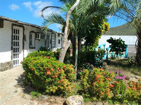 HOTEL POSADA ABUELA JULIA (Margarita Island/Juan Griego) - Hotel ...