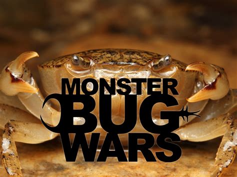 Prime Video: Monster Bug Wars