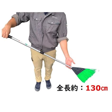 #Document Object Model JavaScript 的图像结果