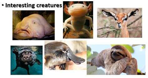 Explain Geography 的图像结果