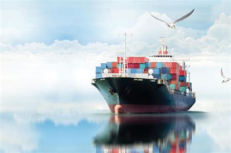 Exporting 的图像结果