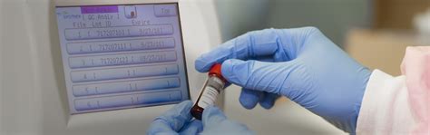 Image result for MLT Program