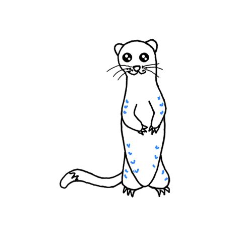 How to Draw a Ferret - Step by Step Easy Drawing Guides - Drawing Howtos