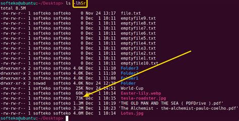 Image result for Ls Linux Tutorial