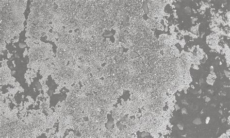 Graphite 的图像结果