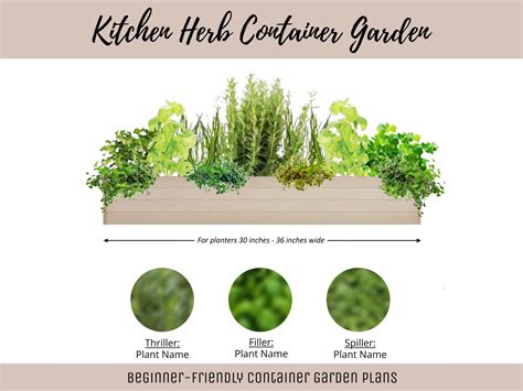 Rectangular Herb Garden Layout