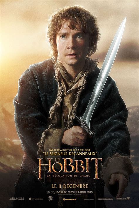 Affiche du film Le Hobbit : la Désolation de Smaug - Affiche 11 sur 23 ...