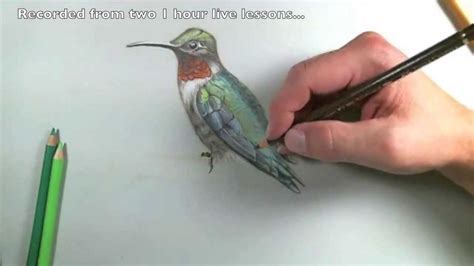 Image result for Polychromos Art Tutorials