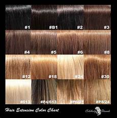Shades Of Hair Color by Brown Color Quotes Quotesgram Shades Of Hair Color