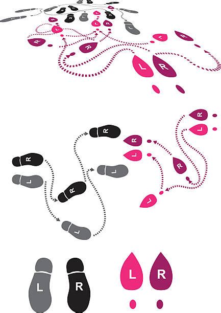 Instructions Box Step Dancing 的图像结果