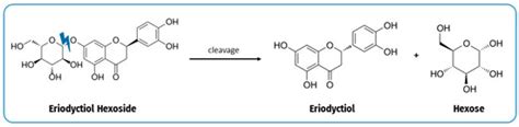 Effects of Different Heating Treatments on the Antioxidant Activity and ...