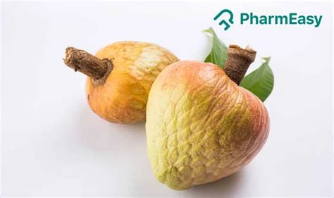 Image result for Shell Integration VSAPI