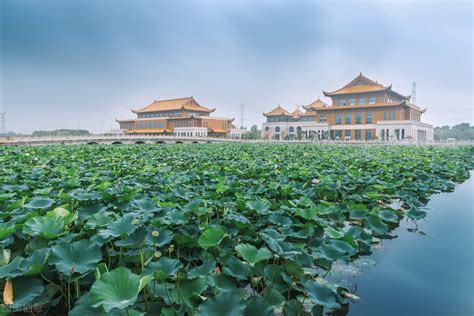 践行首要任务！奋力开拓泰州医药高新区（高港区）新征程！ - 园区动态 - 中国高新网 - 中国高新技术产业导报