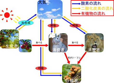 Image result for Linear Programming Example Graph Is Given College