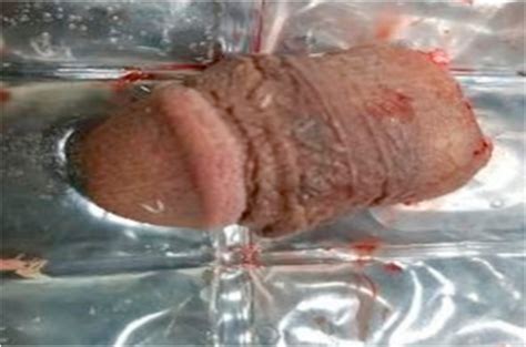 Image result for Windows Kernel Shell User Mode