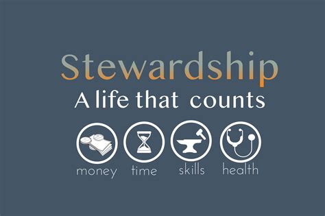 Image result for How to Implement Stewardship